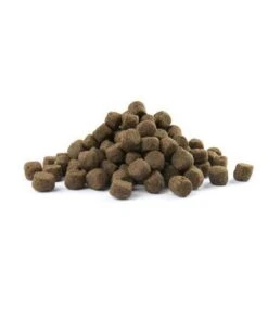 VERSELE-LAGA Opti Life Adult Skin Care Medium & Maxi - 12,5 Kg -Hondenbenodigdheden 1002x1200