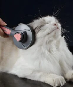 Pakeway T9 - Kattenborstel - Zelfreinigende Kattenkam - Roze - Massageborstel - 19,3 Cm 21 Pakeway T9 - Kattenborstel - Zelfreinigende Kattenkam - Roze - Massageborstel - 19,3 Cm -Hondenbenodigdheden 1005x1200 1