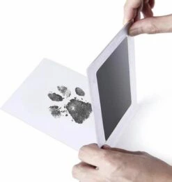 PrintMe - Paw Print Pad - Groter Formaat - Pootafdruk Maken Van Hond Of Kat - Zeer Gemakkelijk - Verbeterd Formaat! - Geen Inkt Op De Poot Van Uw Huisdier- Groot - Leuk Als Cadeau! -Hondenbenodigdheden 1133x1200 2