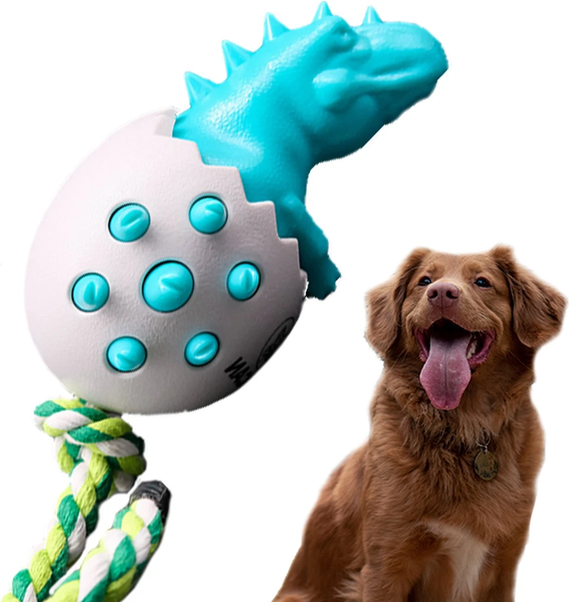 TocaDino - Kauwspeelgoed - Honden - Speelgoed Voor Honden - Reiniging - Dental - Blauw 1 TocaDino - Kauwspeelgoed - Honden - Speelgoed Voor Honden - Reiniging - Dental - Blauw