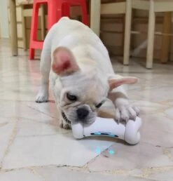 Cheerble Wickedbone|Automatisch Hondenspeeltje|Interactief En Intelligent Speelgoed Voor Honden|App & Bluetooth Bestuurbaar|USB Oplaadbaar -Hondenbenodigdheden 1147x1200 5