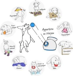 Kong Jumbler Ball - Assorti Hondenspeelgoed - L/XL - Ø18 Cm -Hondenbenodigdheden 1150x1200 11