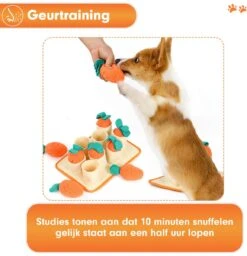 Premium Snuffelmat Voor Hond En Kat - Intelligentie Speelgoed - Snuffel Mat Puppy - IQ Hondenspeeltjes - Educatieve Training Huisdier - Snuffeltrainer Hondenpuzzel - Educatief Speelgoed - Vetalo -Hondenbenodigdheden 1158x1200 8