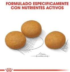 Royal Canin Dermacomfort Maxi - Hondenvoer - 12 Kg -Hondenbenodigdheden 1161x1200 3