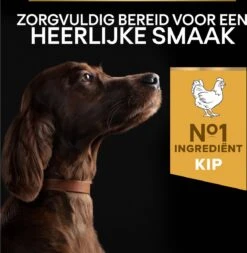 Pro Plan Everyday Nutrition Large Athletic Adult - Honden Droogvoer - Kip - 14 Kg 24 Pro Plan Everyday Nutrition Large Athletic Adult - Honden Droogvoer - Kip - 14 Kg -Hondenbenodigdheden 1172x1200 2