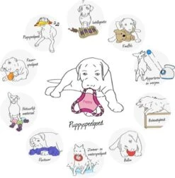 Trixie Dogtoy Dog Activity Strategy Game Gamble Box - Piepend Speelgoed - 15cm X 15cm X 9cm - Zwart/rood/oranje -Hondenbenodigdheden 1178x1200 9