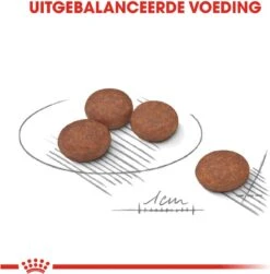 Royal Canin Ccn Digestive Care Mini - Hondenvoer - 3 Kg -Hondenbenodigdheden 1182x1200 2