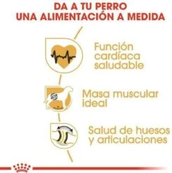 Royal Canin Rottweiler 12 KG 20 Royal Canin Rottweiler 12 KG -Hondenbenodigdheden 1197x1200 2