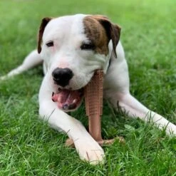 Spot Bam-Bones Plus Easy Grip - Veilig Kauwbot Voor Honden - Speciaal Voor Sterke Kauwers - Verzorgt Het Gebit Van De Hond - Rund Of Kip - S/M/L - Maat: Large, Smaak: Kip 15 Spot Bam-Bones Plus Easy Grip - Veilig Kauwbot Voor Honden - Speciaal Voor Sterke Kauwers - Verzorgt Het Gebit Van De Hond - Rund Of Kip - S/M/L - Maat: Large, Smaak: Kip -Hondenbenodigdheden 1198x1200 25