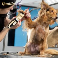 Merkloos Professionele Honden Tondeuse Set - Tondeuse Voor Huisdier Honden En Katten - Hondentrimmer - Hondentondeuse -Hondenbenodigdheden 1198x1200 4