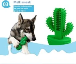 Tandenborstel + TANDPASTA Hond Melk Geur Smaak En Piep Honden Speelgoed - Cactus Dog Toy Tandverzorging Kauwbotten Hondenspeelgoed Hondenbot Kauwstaaf Tanden Puppy Hondenspeeltje Sterk Kauwspeelgoed - Dutchwide 16 Tandenborstel + TANDPASTA Hond Melk Geur Smaak En Piep Honden Speelgoed - Cactus Dog Toy Tandverzorging Kauwbotten Hondenspeelgoed Hondenbot Kauwstaaf Tanden Puppy Hondenspeeltje Sterk Kauwspeelgoed - Dutchwide -Hondenbenodigdheden 1200x1008 2