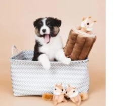 Zippy Paws - Petshop By Fringe Studio- Intelligentie Spel - Speelgoed Hond - Honden - Puzzel - Eekhoorn -Hondenbenodigdheden 1200x1014 3