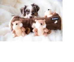 Zippy Paws - Petshop By Fringe Studio- Intelligentie Spel - Speelgoed Hond - Honden - Puzzel - Eekhoorn -Hondenbenodigdheden 1200x1014 4