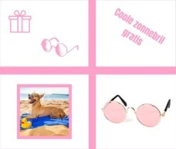 Pepets© – Hondenhanddoek – Honden Handdoek – Microvezel Handdoek – Handdoek Hond – Hondendeken – Droogdoek Hond – Dierendeken – Absorberend – 100*50CM - Beige - GRATIS Zonnebril -Hondenbenodigdheden 1200x1018