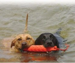 Kong Training Dummy - Hondenspeelgoed - Oranje - L - 27 Cm -Hondenbenodigdheden 1200x1022 1