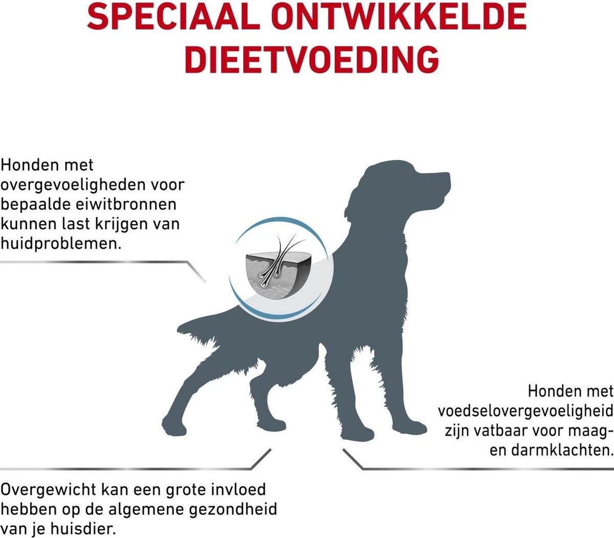 Royal Canin Hypoallergenic Moderate Calorie - Hondenvoer - 7 Kg 4 Royal Canin Hypoallergenic Moderate Calorie - Hondenvoer - 7 Kg - Afbeelding 4