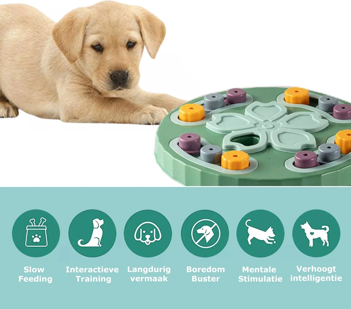 ZERO 90® Honden Speelgoed Intelligentie - Honden Denkspelletjes - Honden Speelgoed Voor Snacks - Dog Activity Booard - Slowfeeder - Hondenpuzzel Intelligentie Trainer 1 ZERO 90® Honden Speelgoed Intelligentie - Honden Denkspelletjes - Honden Speelgoed Voor Snacks - Dog Activity Booard - Slowfeeder - Hondenpuzzel Intelligentie Trainer