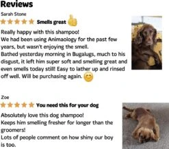 Bugalugs - Hondenshampoo - One In A Million - Alle Vachttypes - Fles Met Pompje - Vegan - 500 Ml -Hondenbenodigdheden 1200x1061