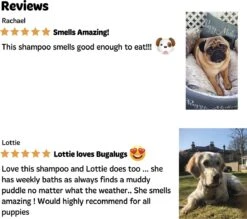 Bugalugs - Hondenshampoo - One In A Million - Alle Vachttypes - Fles Met Pompje - Vegan - 500 Ml -Hondenbenodigdheden 1200x1066