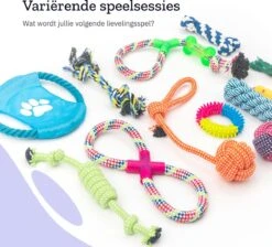All 4 Pets Supply® Honden Speelgoed Set Geschikt Voor Puppy's T/m Middelgrote Honden - 12 Stuks - Hondenspeeltjes - Intelligentie - Touw - Flostouw - Bijtring - Bal 16 All 4 Pets Supply® Honden Speelgoed Set Geschikt Voor Puppy's T/m Middelgrote Honden - 12 Stuks - Hondenspeeltjes - Intelligentie - Touw - Flostouw - Bijtring - Bal -Hondenbenodigdheden 1200x1086 1