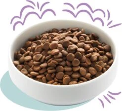 Edgard & Cooper Hondenvoer Puppy Verse Zalm En Kalkoen 7 Kg 13 Edgard & Cooper Hondenvoer Puppy Verse Zalm En Kalkoen 7 Kg -Hondenbenodigdheden 1200x1095 1