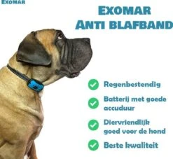 Exomar® Anti Blafband Voor Honden Blafband Anti Blaf Apparaat Blafband Zonder Schok - Diervriendelijk -Hondenbenodigdheden 1200x1101 3