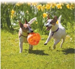 Kong Jumbler Ball - Assorti - M/L - Hondenspeelgoed - Ø14 Cm -Hondenbenodigdheden 1200x1102 6