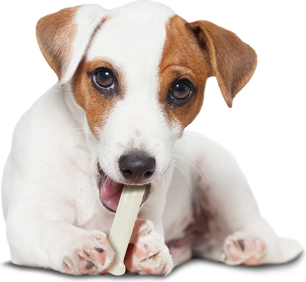 Nylabone Harde Bijters Kluif - Kip - Voor Honden Tot 15 Kg 2 Nylabone Harde Bijters Kluif - Kip - Voor Honden Tot 15 Kg - Afbeelding 2