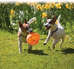 Kong Jumbler Ball - Assorti Hondenspeelgoed - L/XL - Ø18 Cm -Hondenbenodigdheden 1200x1108 7