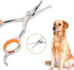 Merkloos Premium Gebogen Trimschaar Honden - Huisdier Trimmen - Hoofd, Poten Ogen & Oren - Kat & Hond Knippen - Veilige Schaar 12 Merkloos Premium Gebogen Trimschaar Honden - Huisdier Trimmen - Hoofd, Poten Ogen & Oren - Kat & Hond Knippen - Veilige Schaar -Hondenbenodigdheden 1200x1120 3