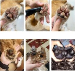 Merkloos Premium Tondeuse Voor Honden Of Katten - Dierentondeuse Oplaadbaar - Ook Bij Tenen, Ogen & Oren - Draadloze Haartrimmer -Hondenbenodigdheden 1200x1139