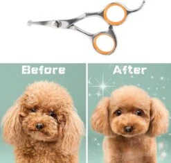 Merkloos Premium Gebogen Trimschaar Honden - Huisdier Trimmen - Hoofd, Poten Ogen & Oren - Kat & Hond Knippen - Veilige Schaar 13 Merkloos Premium Gebogen Trimschaar Honden - Huisdier Trimmen - Hoofd, Poten Ogen & Oren - Kat & Hond Knippen - Veilige Schaar -Hondenbenodigdheden 1200x1144 1