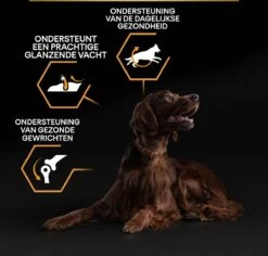 Pro Plan Everyday Nutrition Large Athletic Adult - Honden Droogvoer - Kip - 14 Kg 26 Pro Plan Everyday Nutrition Large Athletic Adult - Honden Droogvoer - Kip - 14 Kg -Hondenbenodigdheden 1200x1146 8