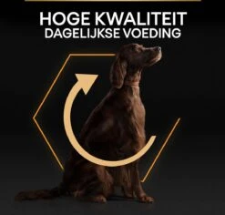 Pro Plan Everyday Nutrition Large Athletic Adult - Honden Droogvoer - Kip - 14 Kg 25 Pro Plan Everyday Nutrition Large Athletic Adult - Honden Droogvoer - Kip - 14 Kg -Hondenbenodigdheden 1200x1147 7