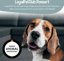 Loyalpetclub® Professionele 2-in-1 Hondentondeuse Voor Dikke Vacht – Draadloze Honden Tondeuse & Hondentrimmer – Stille Tondeuse Katten & Honden Trimset - Inclusief Opbergtasje -Hondenbenodigdheden 1200x1148 2