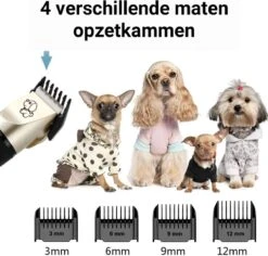 Merkloos Professionele Dierentondeuse - Scheerapparaat Voor Honden En Katten - Trimmer - 4 Opzetstukken - Oplaadbaar - Draadloos - Stil - Verschillende Haar En Vachtlengtes - Haartrimmer - Hondentrimmer - Honden Trimmer - Honden Knippen - Haren Knippen 15 Merkloos Professionele Dierentondeuse - Scheerapparaat Voor Honden En Katten - Trimmer - 4 Opzetstukken - Oplaadbaar - Draadloos - Stil - Verschillende Haar En Vachtlengtes - Haartrimmer - Hondentrimmer - Honden Trimmer - Honden Knippen - Haren Knippen -Hondenbenodigdheden 1200x1148 3