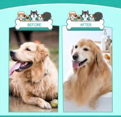 Nobleza 3 Delige Hondenborstel Set – Hondenkam - Kattenkam - Borstels – Dierverzorging - Dierenverzorging - Blauw -Hondenbenodigdheden 1200x1157 1