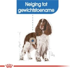 Royal Canin Light Weight Care Medium - Hondenvoer - 12 Kg -Hondenbenodigdheden 1200x1160 3