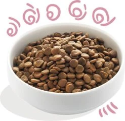 Edgard & Cooper Verse Scharreleend & Kip Puppy - Hondenvoer - 7kg -Hondenbenodigdheden 1200x1168 5