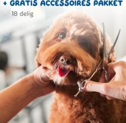 Pawwy Dieren Tondeuse Set Draadloos Voor Honden En Katten – Voor Dikke Vacht - Hondentondeuse – Hondentrimmer - Scheerapparaat - Goud -Hondenbenodigdheden 1200x1170