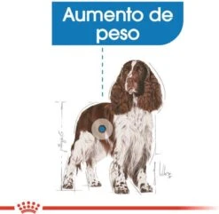 Royal Canin Light Weight Care Medium - Hondenvoer - 12 Kg -Hondenbenodigdheden 1200x1172 4