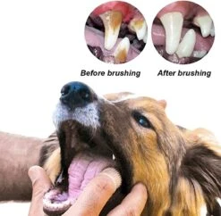 Doodadeals® 4 Stuks Siliconen Honden Tandenborstel - Tanden Borstel Hond - Silicone Dog Tootbrush - Multikleur 9 Doodadeals® 4 Stuks Siliconen Honden Tandenborstel - Tanden Borstel Hond - Silicone Dog Tootbrush - Multikleur -Hondenbenodigdheden 1200x1175 5