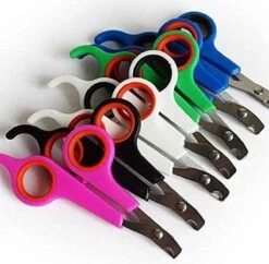 Doodadeals® | Nagelschaar Kat | Nagelschaar Hond | Nagelschaar Konijn | Nagelschaar Cavia | Multi Color | 1 Stuk -Hondenbenodigdheden 1200x1178 1