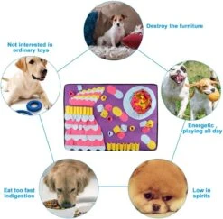 Snuffelmat Hond - Birthday Cake - XXL - Anti-Schrok - Slow Feeder -Hondenbenodigdheden 1200x1181 6