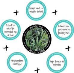 Greenfields Vacht Verzorging Set Voor Honden Shampoo, Conditioner & Droogshampoo -Hondenbenodigdheden 1200x1182 1