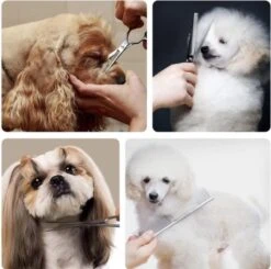 VoordeelShop 7-Delige Huisdier Knipset Met Etui - Trimmen Hond - Honden Schaar - Effileerschaar Hond - Huisdier Trimmer - Huisdier Knippen - Knipschaar Haar - Haar Schaar - Kapper - Kapperset - Scharenset -Hondenbenodigdheden 1200x1190 3