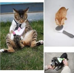 Igoods Kattenborstel - Kattenhaar Verwijderaar - Ontpluizer - Grijs 13 Igoods Kattenborstel - Kattenhaar Verwijderaar - Ontpluizer - Grijs -Hondenbenodigdheden 1200x1191