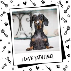 Bugalugs - Hondenshampoo - One In A Million - Alle Vachttypes - Fles Met Pompje - Vegan - 500 Ml -Hondenbenodigdheden 1200x1196 5