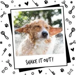 Bugalugs - Hondenshampoo - One In A Million - Alle Vachttypes - Fles Met Pompje - Vegan - 500 Ml -Hondenbenodigdheden 1200x1197 7