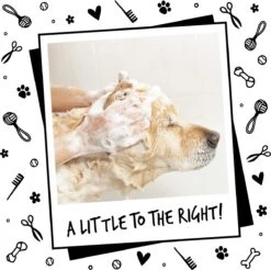 Bugalugs - Hondenshampoo - One In A Million - Alle Vachttypes - Fles Met Pompje - Vegan - 500 Ml -Hondenbenodigdheden 1200x1197 9